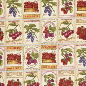 Διακοσμητικό μαξιλάρι καρέκλας καραβόπανο με σχέδιο φρούτα.