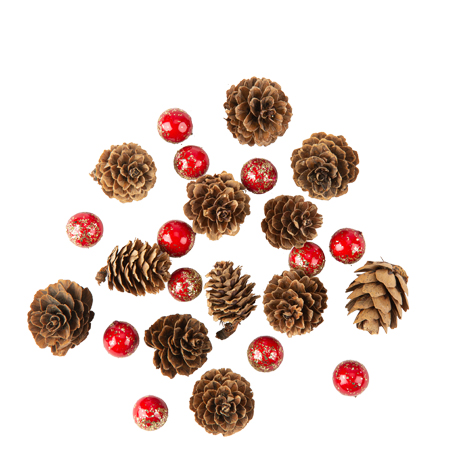 Σετ Κουκουνάρια & Κόκκινα Berries με Χρυσό Glitter 1–3